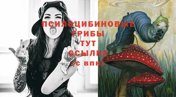 гашик Медвежьегорск