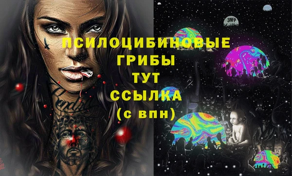 гашик Медвежьегорск