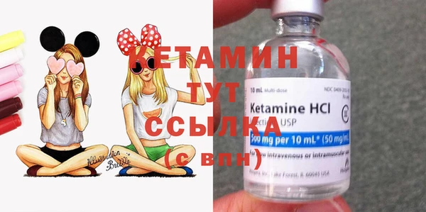 дживик Бородино